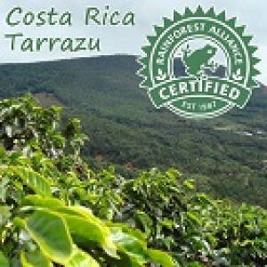 Hyman Smith Coffee Costa Rican Tarrazu